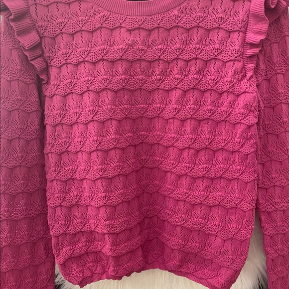 Brand New Women’s Forever 21 FUCHIA Long Sleeved Knitted Fringed Top (LARGE) - Picture 2 of 2